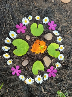 Waldzauber - Erleben, Bauen, Entdecken