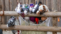 Hufeisen basteln und Hobbyhorse