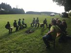 Wer lebt in der Wiese