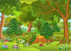 Den Wald mit dem Förster entdecken 2