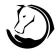 Rund um das Pferd