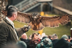 Besuch der Deutschen Greifenwarte