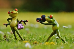 Wie (un)cool ist das denn? Fotografische Entdeckungsreise mit Kamera oder Smartphone