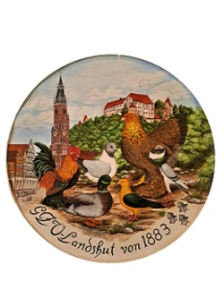 Tauche ein in die spannende Welt der Hühner