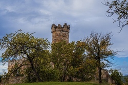 Waldwanderung
