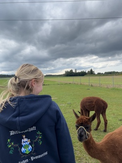 Alpakawanderung mit der Dirndlschaft Hohenlinden-Pemmering e.V. 
