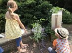 SOMMERWERKSTATT I KREATIV DURCH DEN SOMMER