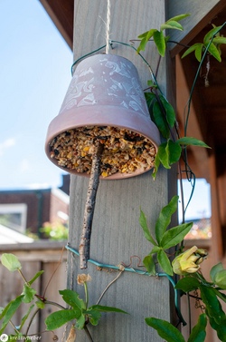 Bunter Nachmittag für die Kleineren