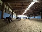 Ferien-Woche auf dem Reiterhof Hunsche