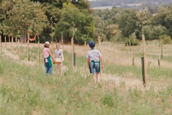 NaturEntdeckerCamp - Bunt, bunter, Streuobstwiese 