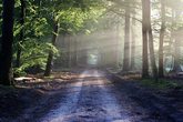 Abenteuer im Giesener Wald
