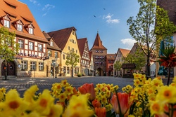 Lust auf Lauf - Altstadt-Ralley