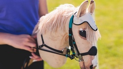 Stockpferdrennen - Hobby Horsing - Ersatztermin!