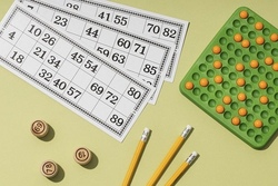 Natur-BINGO auf dem HÖB Gelände 2
