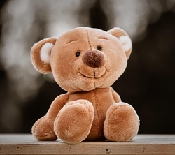 Kuscheltierlauf