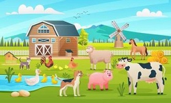 „Ausflug auf den Hof Gasswies: Bäuerinnen und Bauern, Tiere, Sensationen!“ 