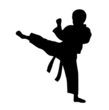 Karate Schnuppertraining