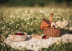 Picknick im Freien