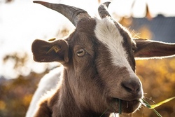 Ausflug zur Kinder- und Jugendfarm
