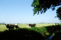 Spaß auf dem Bauernhof