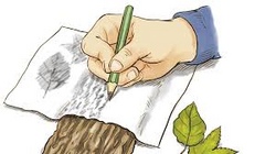 ABGESAGT - Fantastische Blattwesen - Frottage mit Naturformen