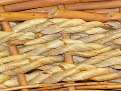 Weide flechten