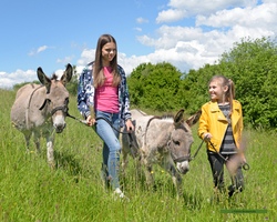 Bereit für ein tierisches Abenteuer?