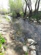 Abenteuerspaziergang an der Gusen mit Naturschatzsuche