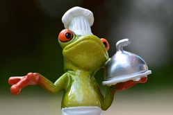 Kochen mit den Profis