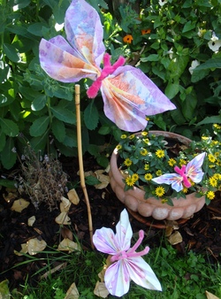 Bunte Schmetterlinge