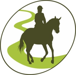 Schnupperkurs Reiten a