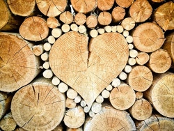 Basteln mit Naturmaterialien