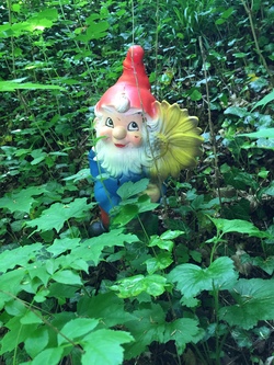 Sternenzauberwanderung