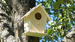 Futterhäuschen oder Bruthöhlen bauen
