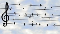 Soundsafari - Wo Musik Abenteuer schafft