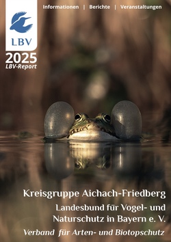 Was ist los im Wasser? I