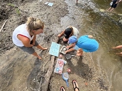 Bachmuschel-Safari an der Attel