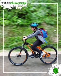 Mountainbike "Trailventure"