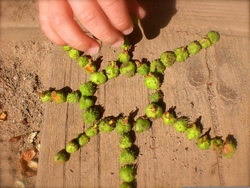Natur, Kunst und frische Luft... "Land-Art"  