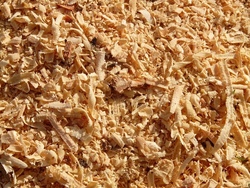 Coole Typen aus Holz