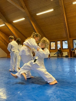  Judo, die Kunst des Fliegens-Schwerkraft mal anderst. 