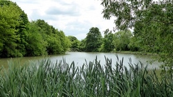 Forellen angeln in Garlstedt mit der "Scheune"