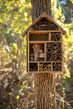 Wir bauen ein Insektenhotel
