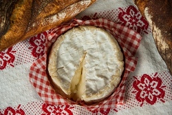 Hofk&auml;se Workshop f&uuml;r Kids