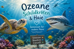 Ozeane, Schildkr&ouml;ten und Haie