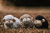 Sommertöpfern II !AUSGEBUCHT!