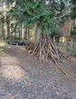 Survival - &Uuml;berleben im Wald