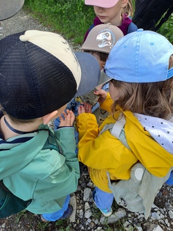 NaturEntdeckerCamp - Walderlebnis