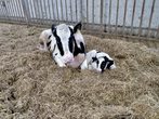 Landwirtschaft hautnah erleben