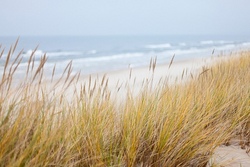 Drei Tage am Meer!